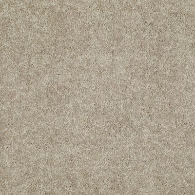 Shaw Floors Home Foundations Gold Orchard Mill II 15′ Dusty Trail 55793_HG082