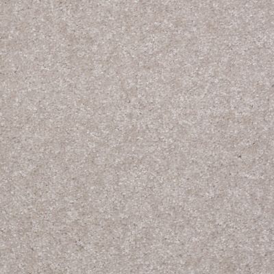 Shaw Floors Home Foundations Gold Road Runner Opaline 00107_HG557