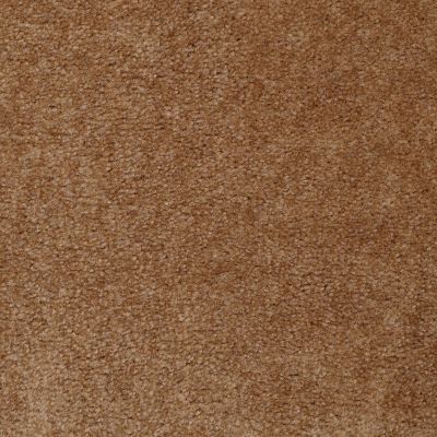 Shaw Floors Home Foundations Gold Warrior Classic Roasted Pecan 00201_HGC80