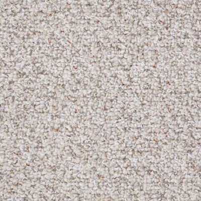 Shaw Floors Home Foundations Gold First Call 15 Timeless Neutral 00103_HGE00
