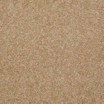 Shaw Floors Home Foundations Gold Time Frame Soft Gold 00250_HGE36
