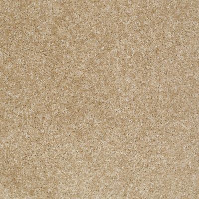 Shaw Floors Home Foundations Gold Time Frame Tweed 00700_HGE36
