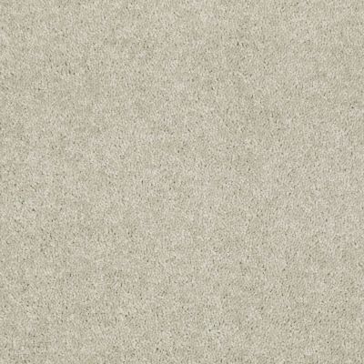Shaw Floors Home Foundations Gold Traditional Allure 15′ Sand Dollar 00116_HGG68