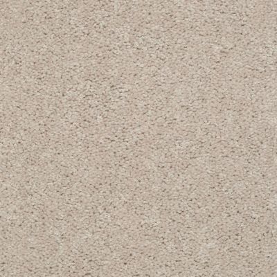 Shaw Floors Home Foundations Gold Traditional Allure 15′ Sheer Ecru 00153_HGG68