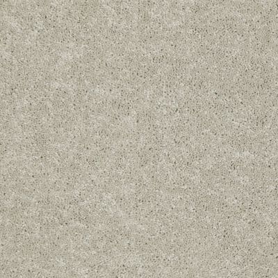 Shaw Floors Home Foundations Gold Traditional Allure 15′ Cookie Dough 00771_HGG68