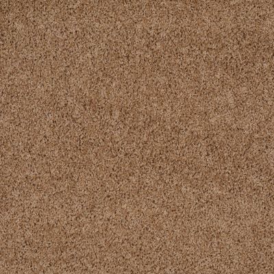 Shaw Floors Home Foundations Gold Prime Twist Buckwheat 00107_HGL04