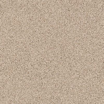 Shaw Floors Home Foundations Gold Prime Twist Storm 00109_HGL04