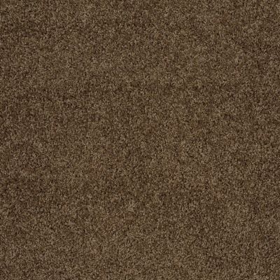 Shaw Floors Home Foundations Gold Prime Twist Sage Leaf 00304_HGL04