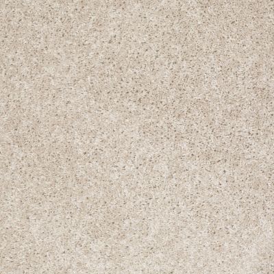 Shaw Floors Home Foundations Gold Favorite Choice 12′ Sailcloth 00100_HGL45