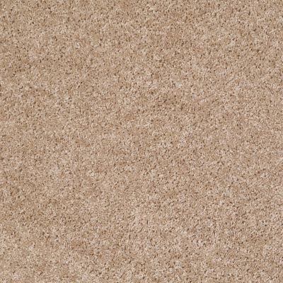 Shaw Floors Home Foundations Gold Favorite Choice 12′ Macaroon 00104_HGL45