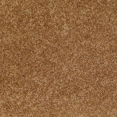 Shaw Floors Home Foundations Gold Favorite Choice 12′ New Cork 00200_HGL45