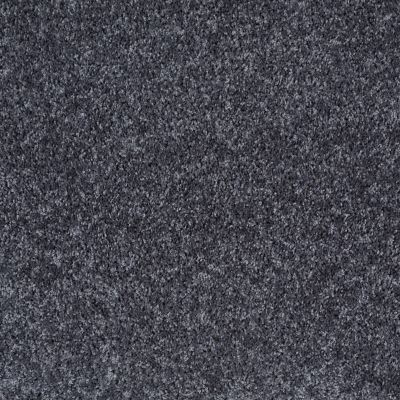 Shaw Floors Home Foundations Gold Favorite Choice 12′ North Shore 00400_HGL45