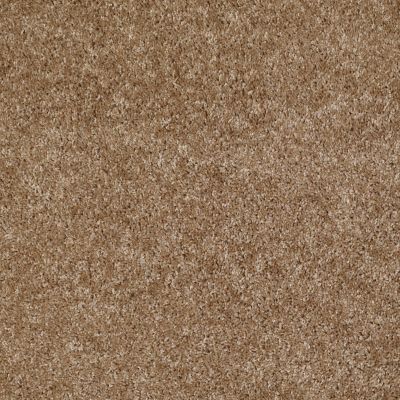 Shaw Floors Home Foundations Gold Favorite Choice 12′ Bungalow 00701_HGL45