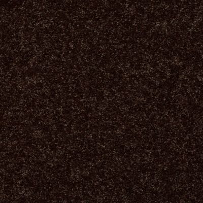 Shaw Floors Home Foundations Gold Fast Ball 15′ Coffee Bean 00705_HGL46
