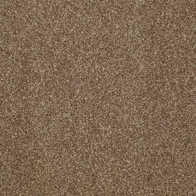 Shaw Floors Home Foundations Gold Peachtree I (t) Cork Board 00711_HGN77