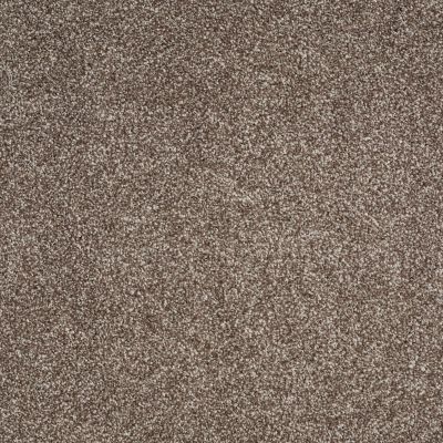 Shaw Floors Home Foundations Gold Peachtree II (t) Saddle 00718_HGN90