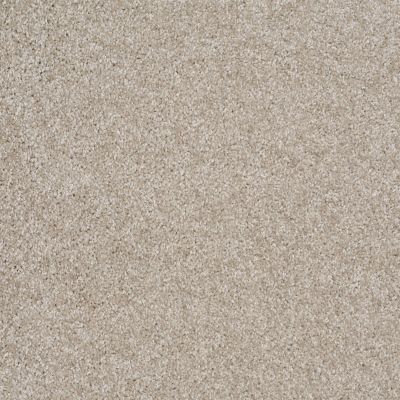 Shaw Floors Home Foundations Gold Golden Cove Abalone 00153_HGP02