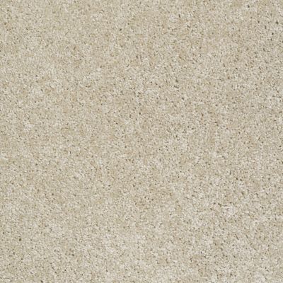 Shaw Floors Home Foundations Gold Prestige Point Aspen 00113_HGP06