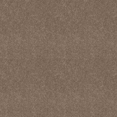 Shaw Floors Home Foundations Gold Meadow Vista 12′ Taupe Mist 55792_HGP17