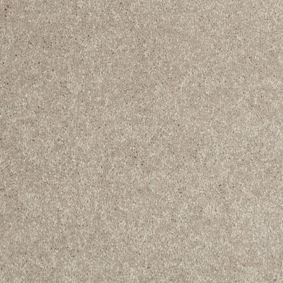 Shaw Floors Home Foundations Gold Modern Image 12′ Antique Silk 00131_HGP19