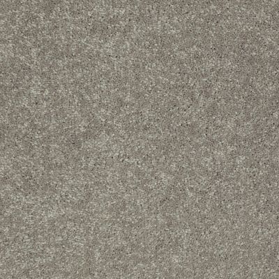 Shaw Floors Home Foundations Gold Modern Image 12′ Pebble Path 00132_HGP19