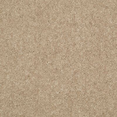 Shaw Floors Home Foundations Gold Modern Image 15′ Straw Hat 00260_HGP20