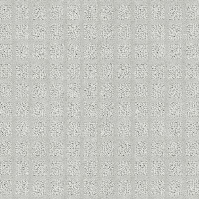 Shaw Floors Home Foundations Gold Emerald Isle Silver 00530_HGP49