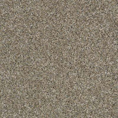 Shaw Floors Home Foundations Gold Grand Isle Fox Fur 00102_HGP58