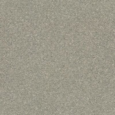 Shaw Floors Home Foundations Gold Blue Sky Flax 00502_HGP96