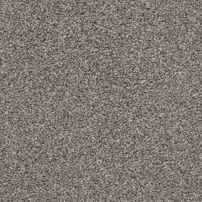 Shaw Floors Home Foundations Gold Anchor Bay Chic Taupe 00714_HGR07