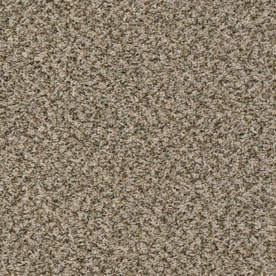 Shaw Floors Home Foundations Gold Vintage Style Burlap 00110_HGR22