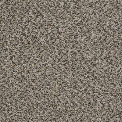 Shaw Floors Home Foundations Gold Vintage Style Sweet Taupe 00532_HGR22