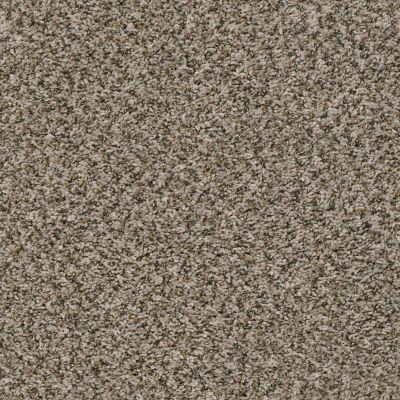 Shaw Floors Home Foundations Gold Vintage Style Toast 00730_HGR22