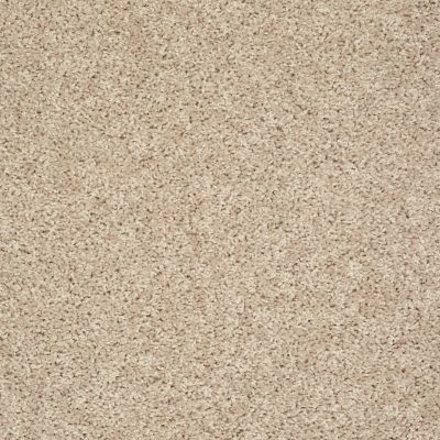 Shaw Floors Home Foundations Gold Graceful Finesse Gentle Breeze 00100_HGR23