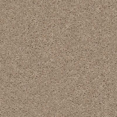 Shaw Floors Home Foundations Gold Graceful Finesse Wheat Field 00102_HGR23