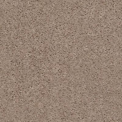 Shaw Floors Home Foundations Gold Graceful Finesse Warm Sand 00106_HGR23