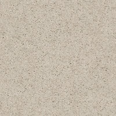 Shaw Floors Home Foundations Gold Graceful Finesse Winter White 00110_HGR23