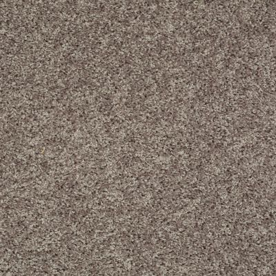 Shaw Floors Home Foundations Gold Graceful Finesse Charcoal 00502_HGR23