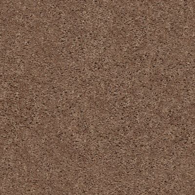 Shaw Floors Home Foundations Gold Graceful Finesse Clay 00701_HGR23
