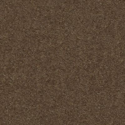Shaw Floors Home Foundations Gold Union Terrace Toffee 00753_HGR25