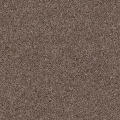 Shaw Floors Home Foundations Gold Union Terrace Chic Taupe 00791_HGR25