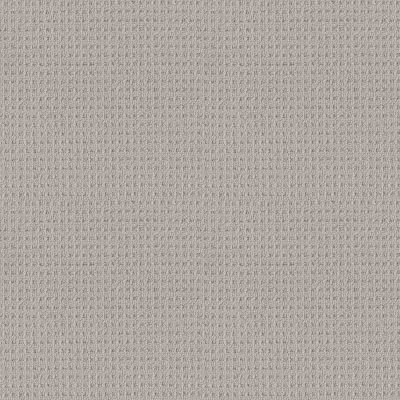 Shaw Floors Builder Specified Enchantment Warm Greige 00104_HGR62