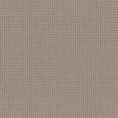Shaw Floors Builder Specified Enchantment Pebble Path 00109_HGR62