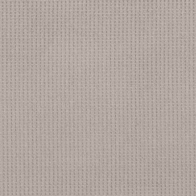 Shaw Floors Home Foundations Gold Modern Grace Baltic Stone 00128_HGR68