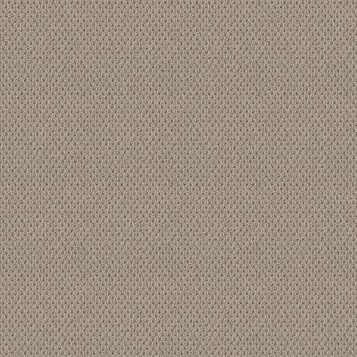 Shaw Floors Home Foundations Gold Modern Chic Baltic Stone 00128_HGR69