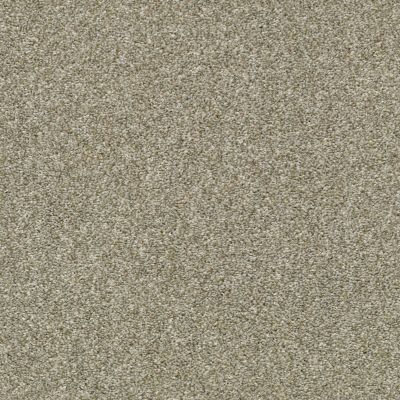 Shaw Floors Builder Specified Fresh Outlook Bare Mineral 00125_HGR71