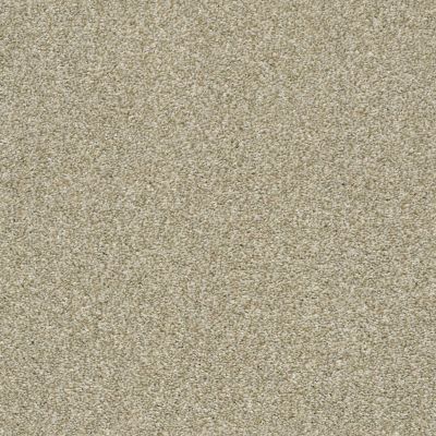 Shaw Floors Builder Specified Fresh Outlook Flax Seed 00152_HGR71