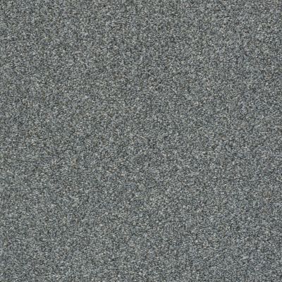Shaw Floors Builder Specified Fresh Outlook Armour 00561_HGR71