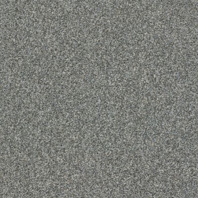 Shaw Floors Builder Specified Fresh Outlook Dolphin 00571_HGR71
