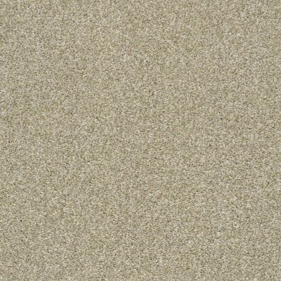 Shaw Floors Builder Specified Fresh Spirit Flax Seed 00152_HGR72